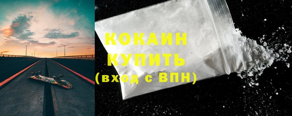крисы Баксан