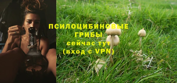 метамфетамин Белокуриха