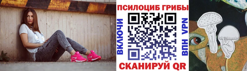 Купить где  Кувшиново  Псилоцибиновые грибы Psilocybine cubensis 