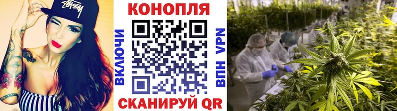 Бошки Шишки Bruce Banner Кувшиново